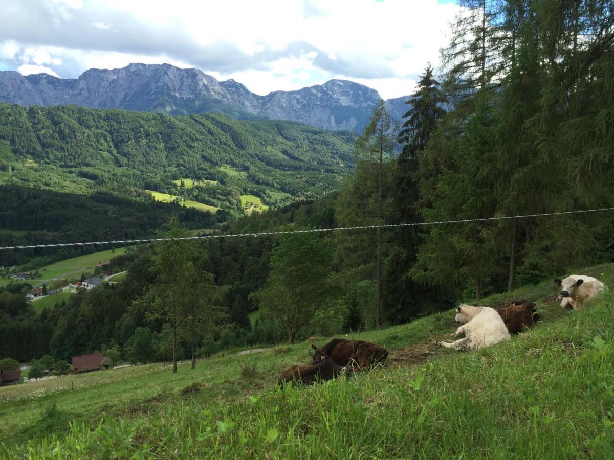 Kreitalm - Kraftplatz Im Salzkammergut Neukirchen  Zewnętrze zdjęcie
