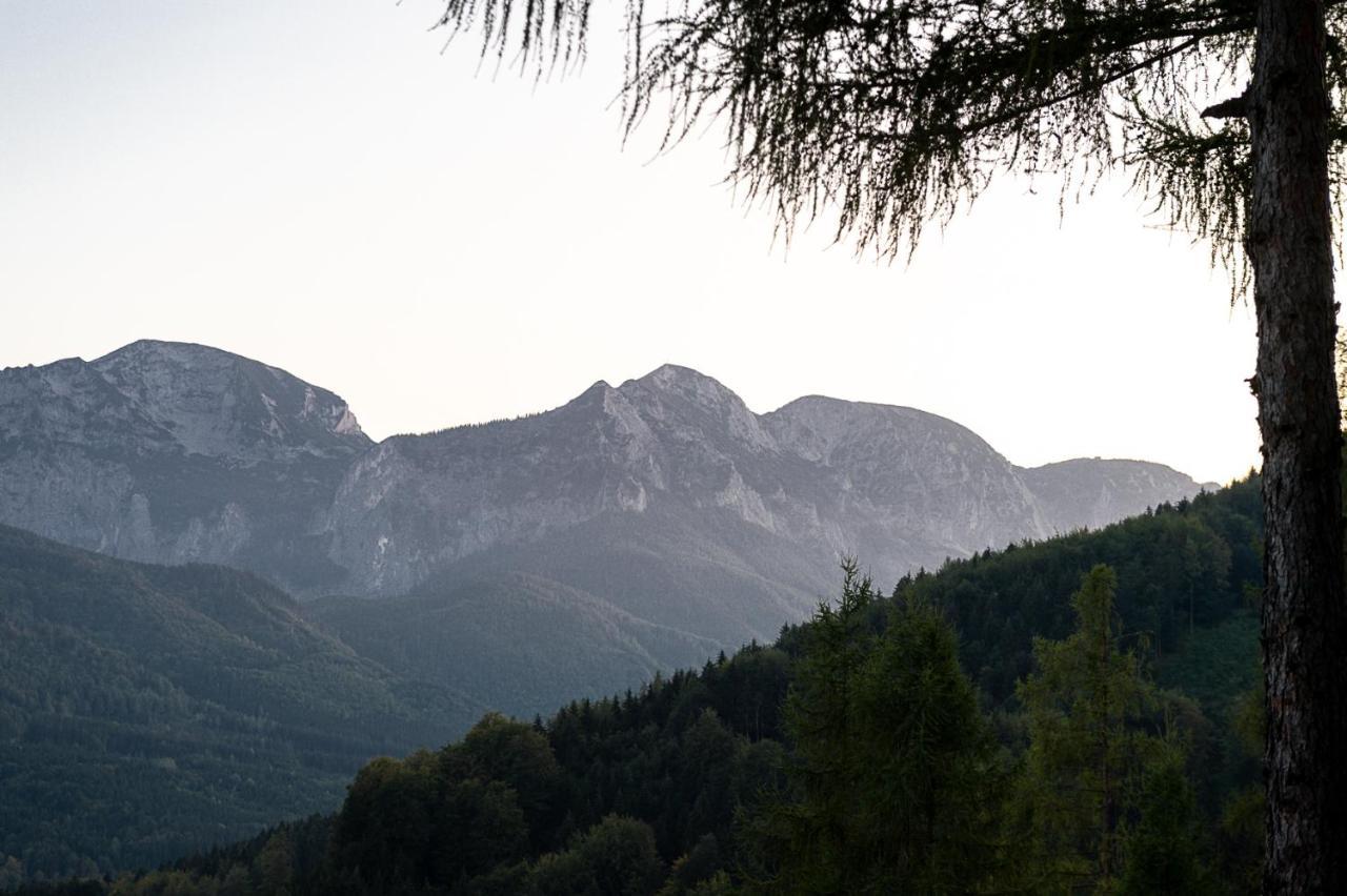 Kreitalm - Kraftplatz Im Salzkammergut Neukirchen  Zewnętrze zdjęcie